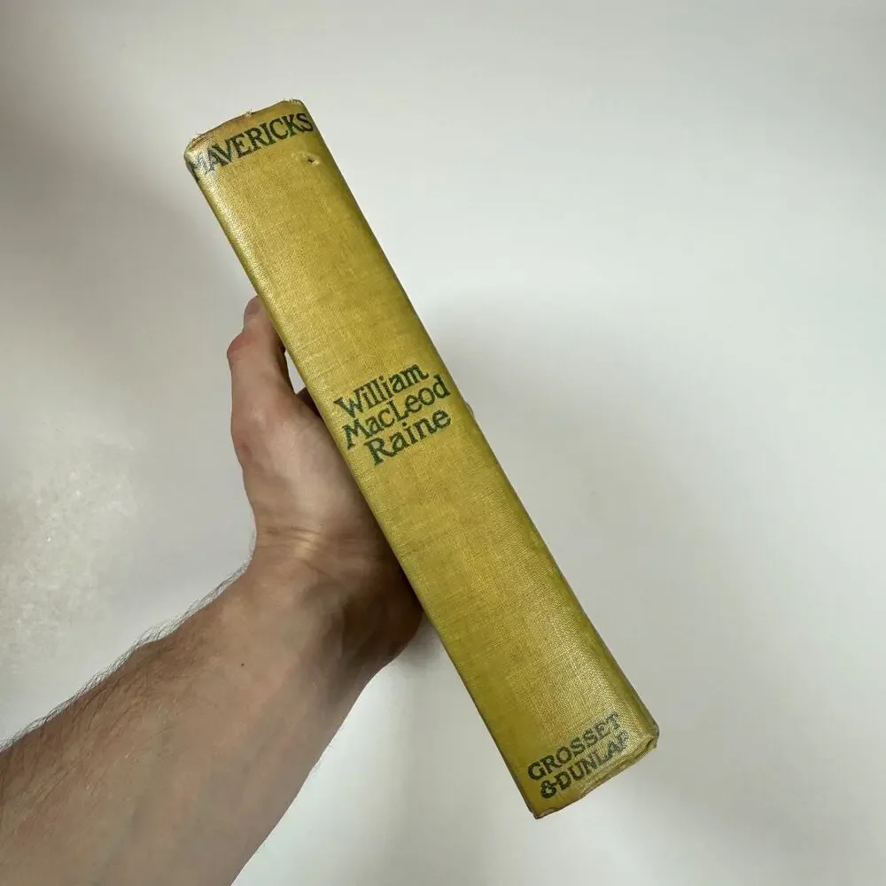 Mavericks By WILLIAM MacLeod Raine 1912 Antique book